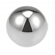 Rutuliukas RB 8,731/G10 HRC 62-66