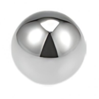 Rutuliukas RB 8,731/G10 HRC 62-66