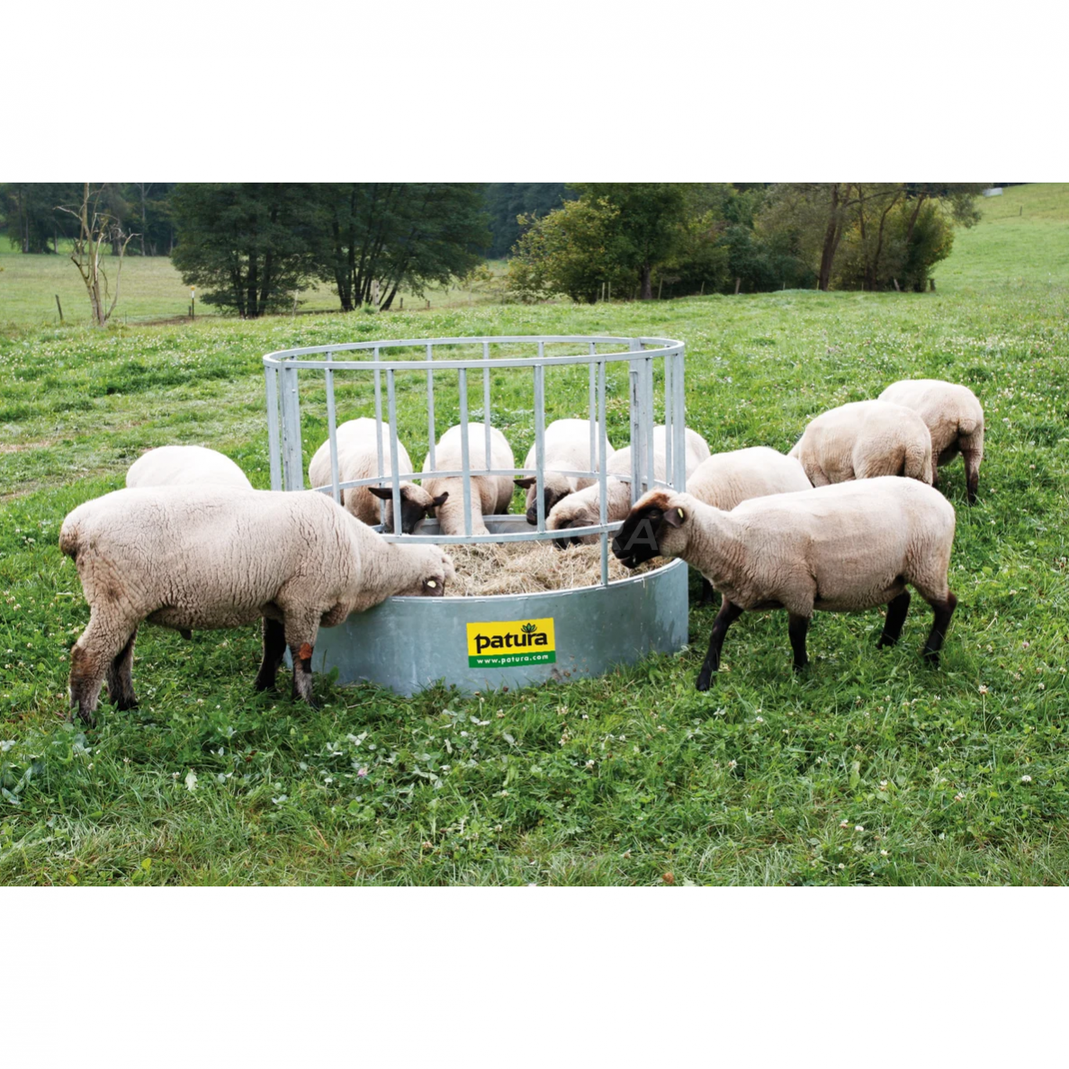 Šėrykla avims 20 vietų 373530 160cm 1 Šėrykla avims 20 vietų 373530 160cm 1