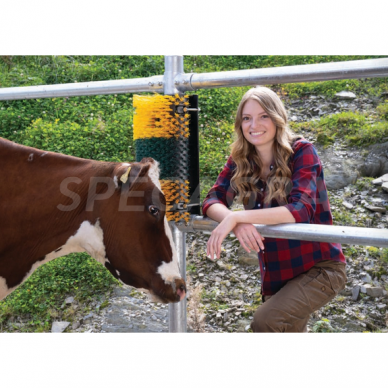 Šepetys kasimuisi 50x30x14cm prie sienos 334149 4 Šepetys kasimuisi 50x30x14cm prie sienos 334149 4