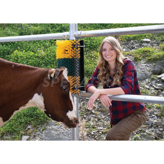 Šepetys kasimuisi 50x30x14cm prie sienos 334149 4 Šepetys kasimuisi 50x30x14cm prie sienos 334149 4