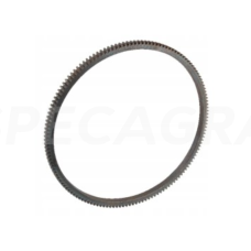 Smagračio vainikas 50-1005121