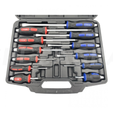 Smūginių atsuktuvų rinkinys(12vnt.) WT01Y01