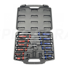 Smūginių atsuktuvų rinkinys(12vnt.) WT01Y01