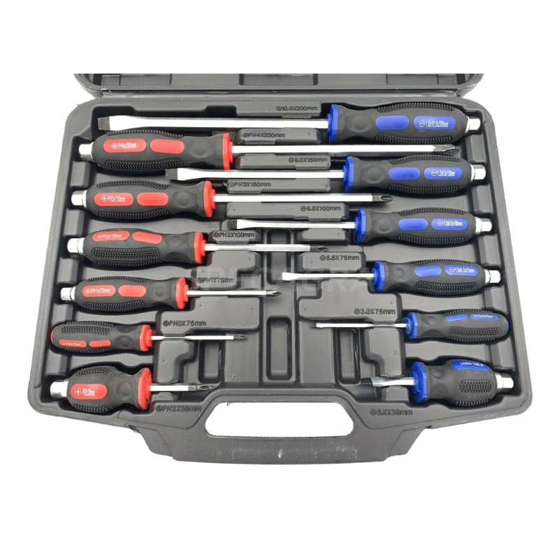 Smūginių atsuktuvų rinkinys(12vnt.) WT01Y01 1