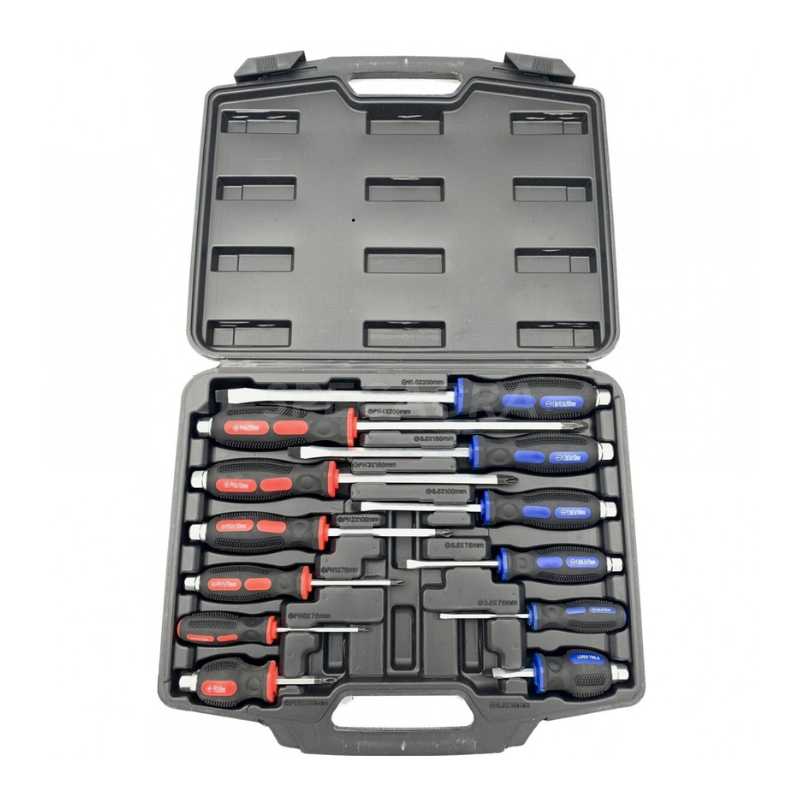 Smūginių atsuktuvų rinkinys(12vnt.) WT01Y01