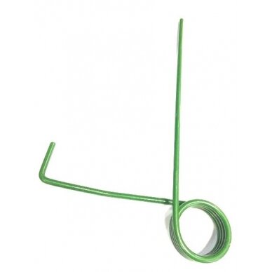 Spyruoklė Amaz.sėj. Spyruoklė Amaz.sėj.