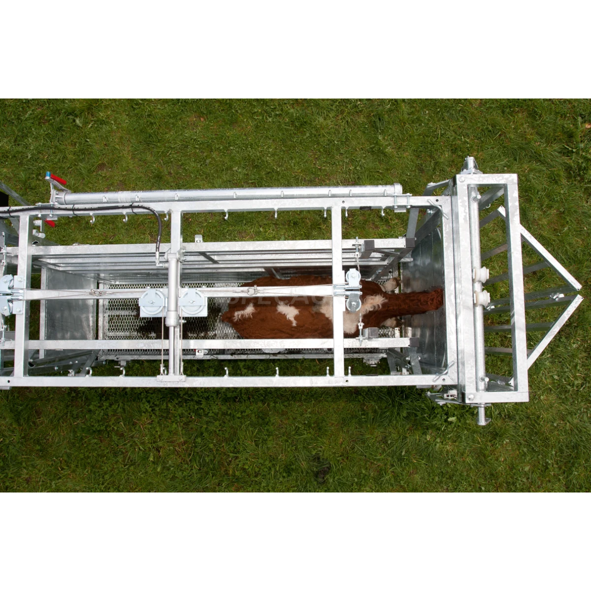 Staklės veterinarinės A8000 su suspaudimu, cezario sekcija 302810 1 Staklės veterinarinės A8000 su suspaudimu, cezario sekcija 302810 1