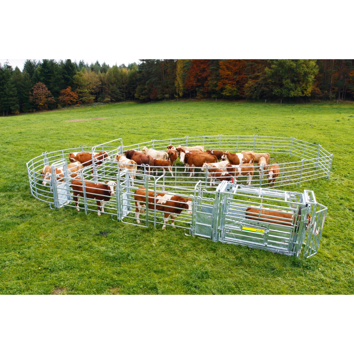 Staklės veterinarinės A8000 su suspaudimu, cezario sekcija 302810 13