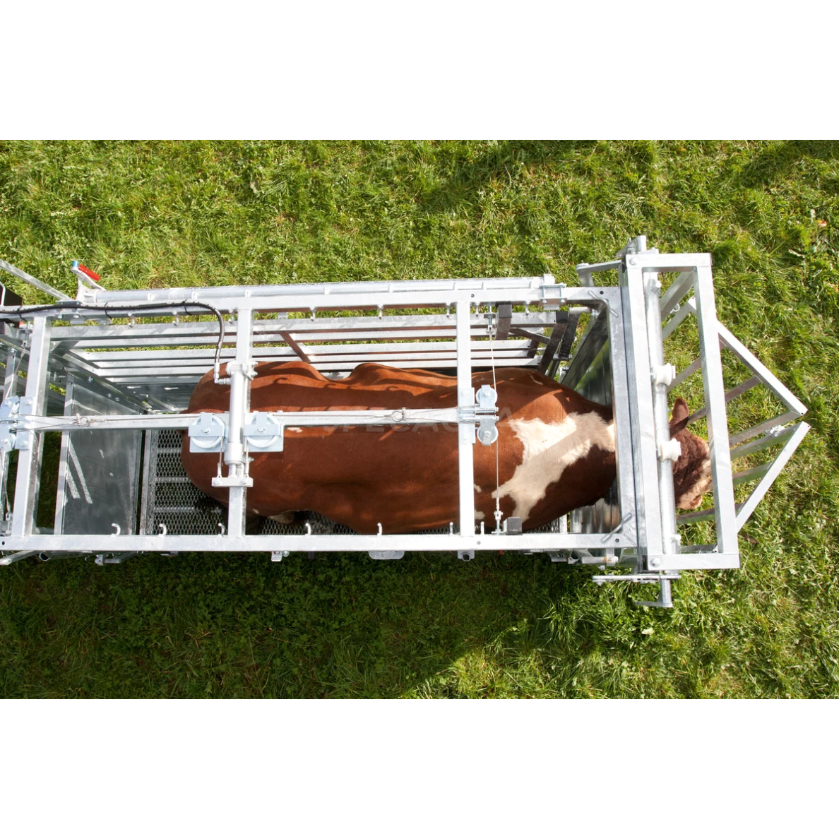 Staklės veterinarinės A8000 su suspaudimu, cezario sekcija 302810 2 Staklės veterinarinės A8000 su suspaudimu, cezario sekcija 302810 2