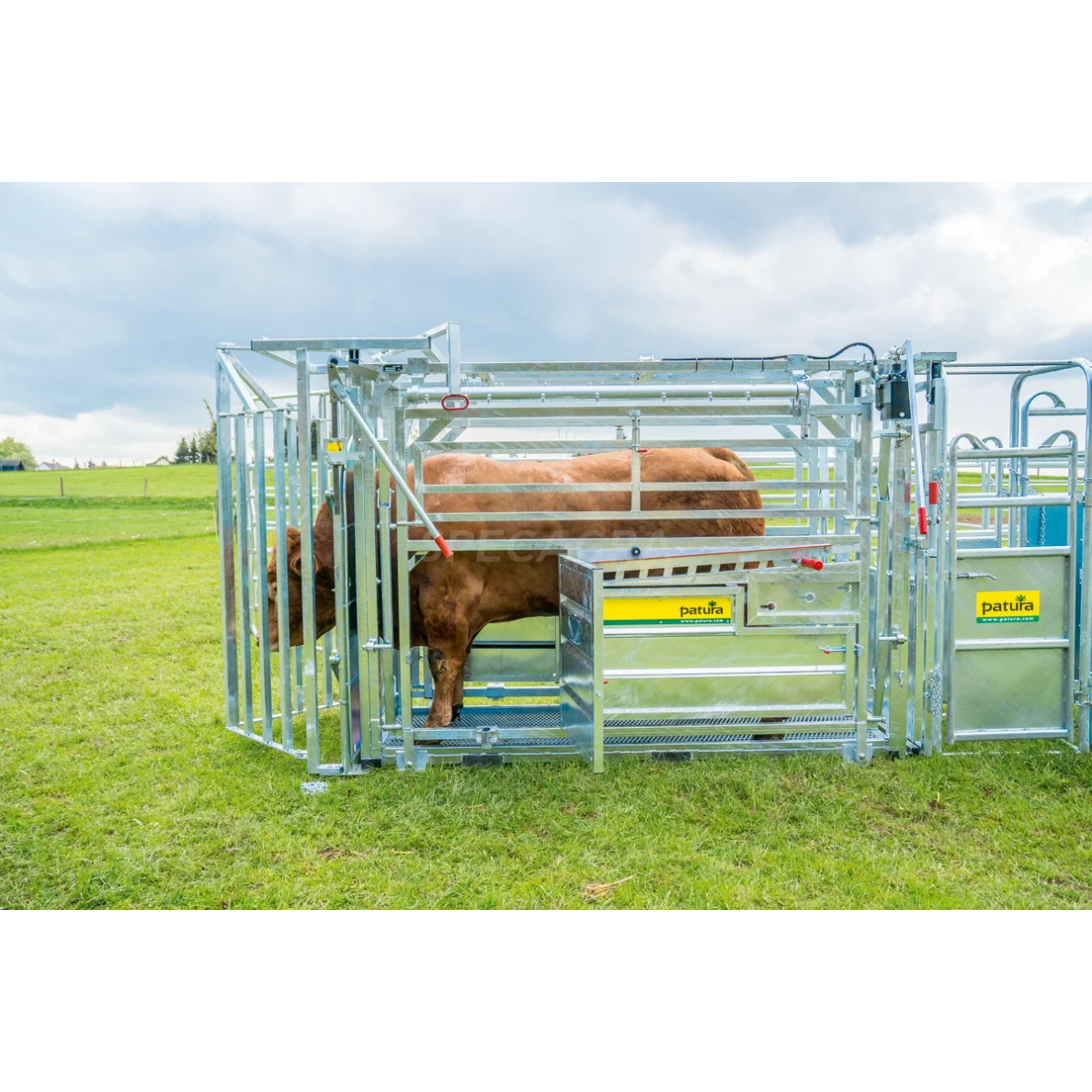 Staklės veterinarinės A8000 su suspaudimu, cezario sekcija 302810 6 Staklės veterinarinės A8000 su suspaudimu, cezario sekcija 302810 6