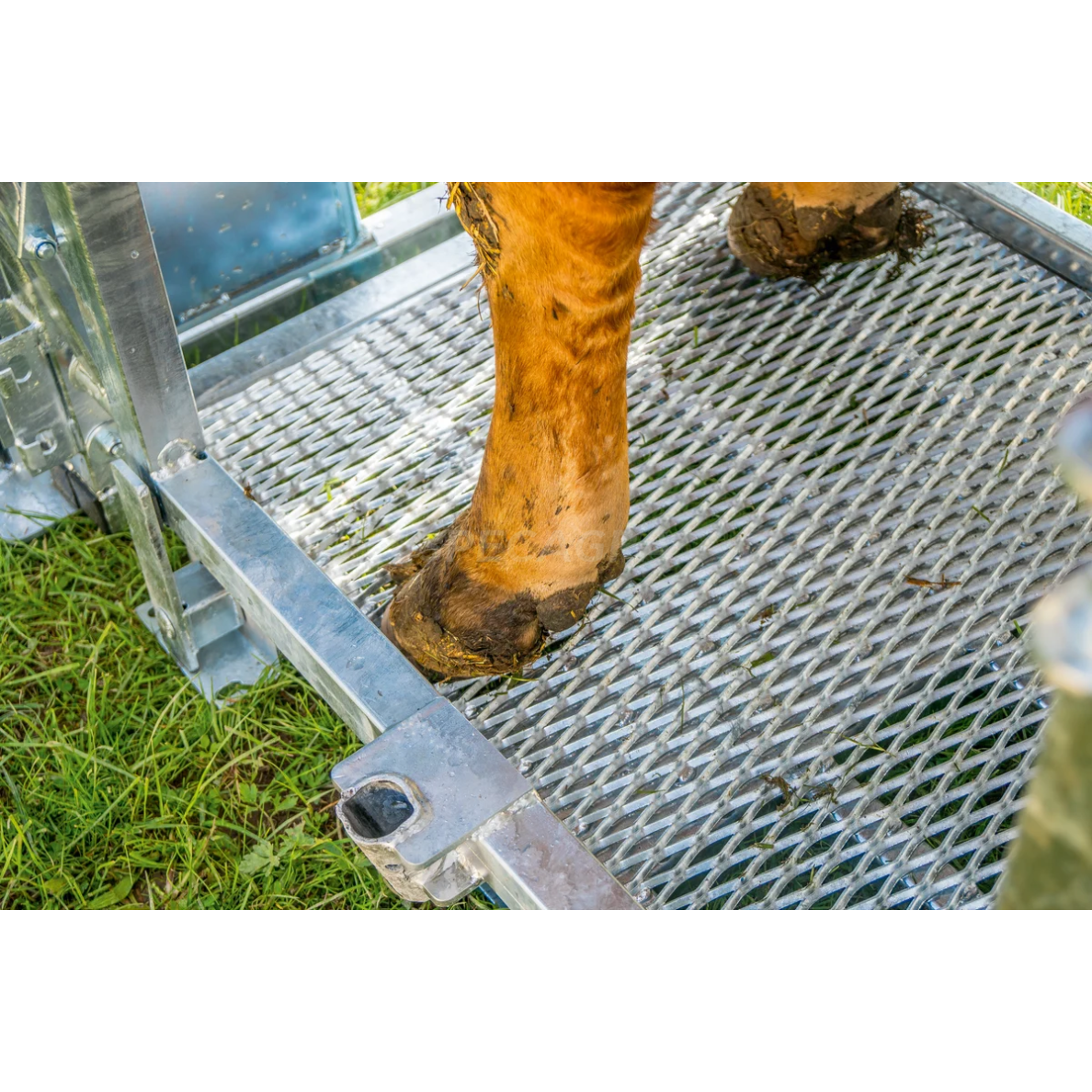 Staklės veterinarinės A8000 su suspaudimu, cezario sekcija 302810 8 Staklės veterinarinės A8000 su suspaudimu, cezario sekcija 302810 8