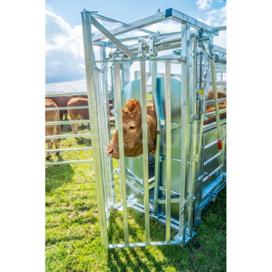 Staklės veterinarinės A8000 su suspaudimu, cezario sekcija 302810 11 Staklės veterinarinės A8000 su suspaudimu, cezario sekcija 302810 11