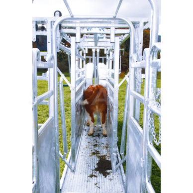 Staklės veterinarinės A8000 su suspaudimu, cezario sekcija 302810 12