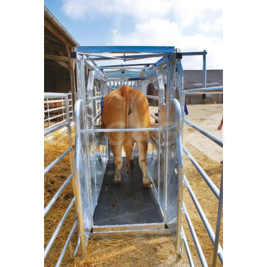 Staklės veterinarinės LVM su reguliavimu PG1000721 6