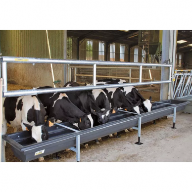 Sutvirtintas pašarų lovys 5mx0.85m 1