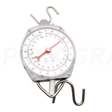 Svarstyklės 10kg 1624-140204