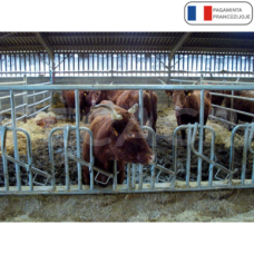 Švediško tipo fiks. šėrimo tako grotos 4m, 5 vietos