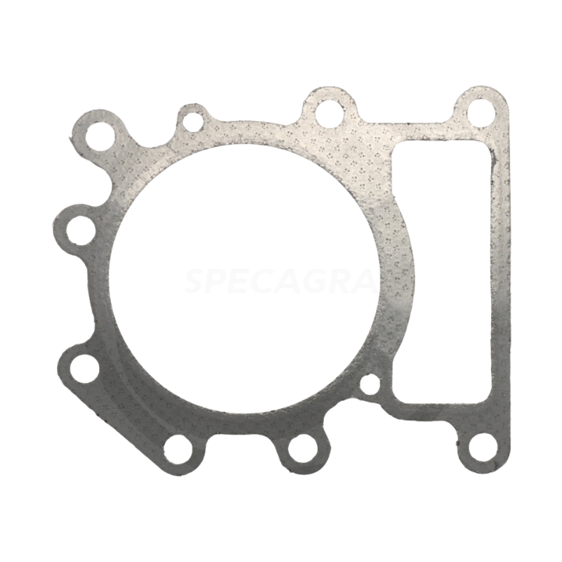Tarpinė po galvute Briggs 30271053 Tarpinė po galvute Briggs 30271053
