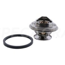 Termostatas 04224847