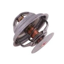 Termostatas 218039A1P Case
