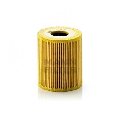 Tepalo filtro elementas HU 818x