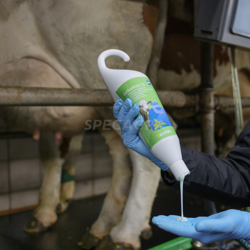 Tešmens priežiūros tepalas KerbaMint 500ml pakabinamame butelyje 15260 2 Tešmens priežiūros tepalas KerbaMint 500ml pakabinamame butelyje 15260 2