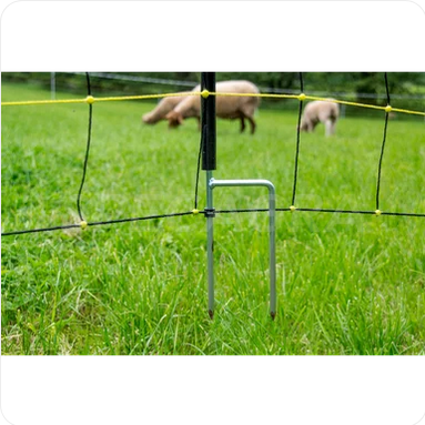 Tinklas avims dvigubas smigis 145 cm 14967 4 Tinklas avims dvigubas smigis 145 cm 14967 4