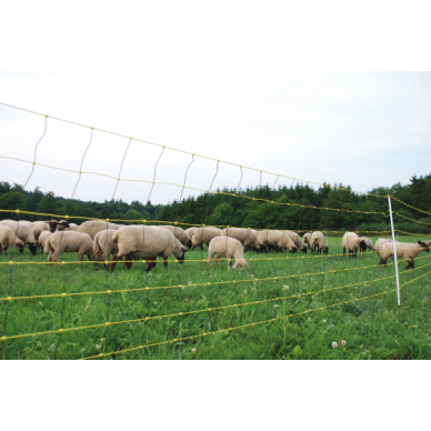 Tinklas avims dvigubas smigis 120cm/50m 14147 Tinklas avims dvigubas smigis 120cm/50m 14147