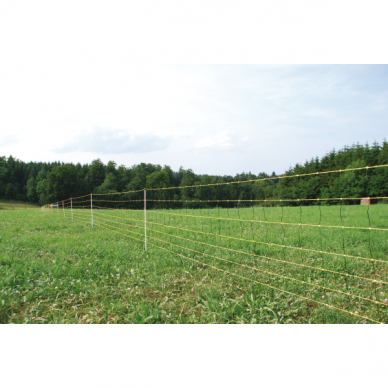 Tinklas avims dvigubas smigis 90cm 15465 4