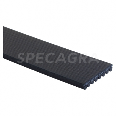 V-formos diržas 4899178 GAT8PK1553HD 1