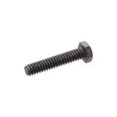 Varžtas HORSCH 10-24x1-5.8 00380320 UNC Rotorf