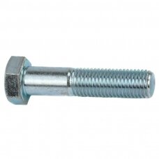 Varžtas M 10X110 DIN 931-10.9