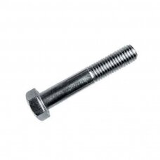 Varžtas M 10X70 931-10.9