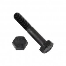 Varžtas M 10X85 931-10.9