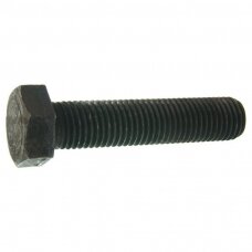 Varžtas M 12X100 933-10.9