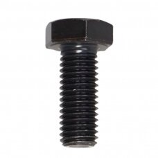 Varžtas M 12X35 933-10.9