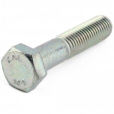 Varžtas M 12X80 931-10.9