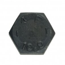 Varžtas M 16X110 931-10.9