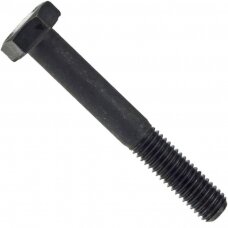 Varžtas M 16X160 931-10.9
