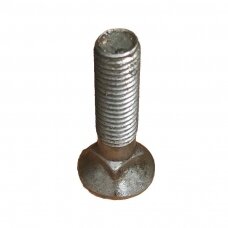 Varžtas M12x50 DIN608
