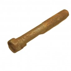 Varžtas M14X100 DIN931