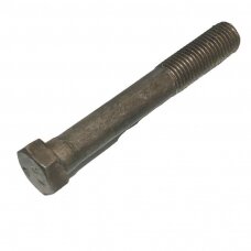 Varžtas M16x110 DIN931