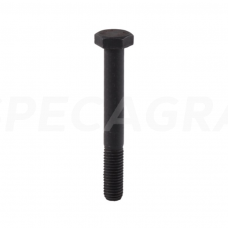 Varžtas M16x2x100 kietumo klasė 10,9