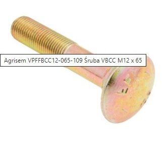 Varžtas M12x65 VPFFBCC12-065-109