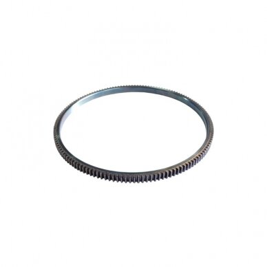 Vainikas 50-1005121 start. Vainikas 50-1005121 start.