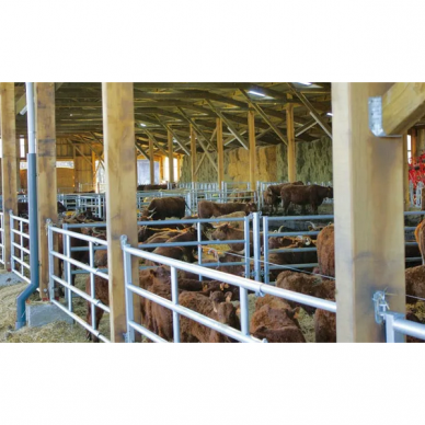 Teleskopiniai vartai 5/6m 4 vamzdžių su skląsčiais 1151807+1151810 2