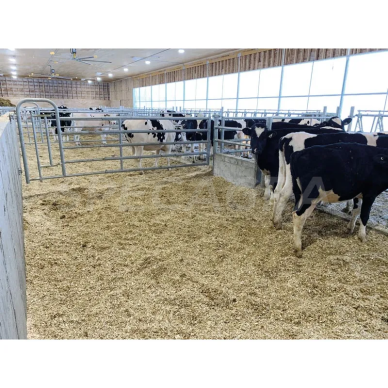 Vartų dalis 5 vamzdžių 1151720 su praėjimu 3