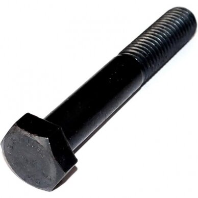 Varžtas Din 931 10.9M 10X55 BI