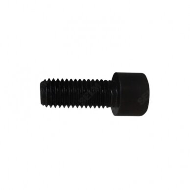 Varžtas HORSCH M12x30-12.9 00371012 DIN912
